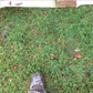 Before - terrible drainage